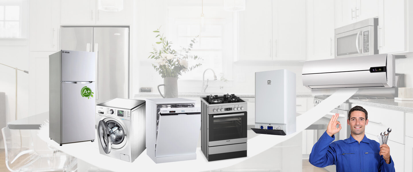 Gülyalı Grundig Servisi